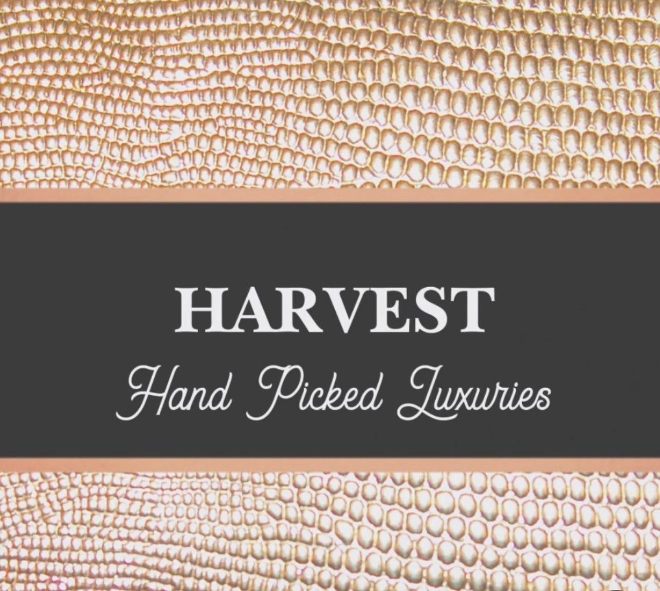 HARVEST-Gift Boutique